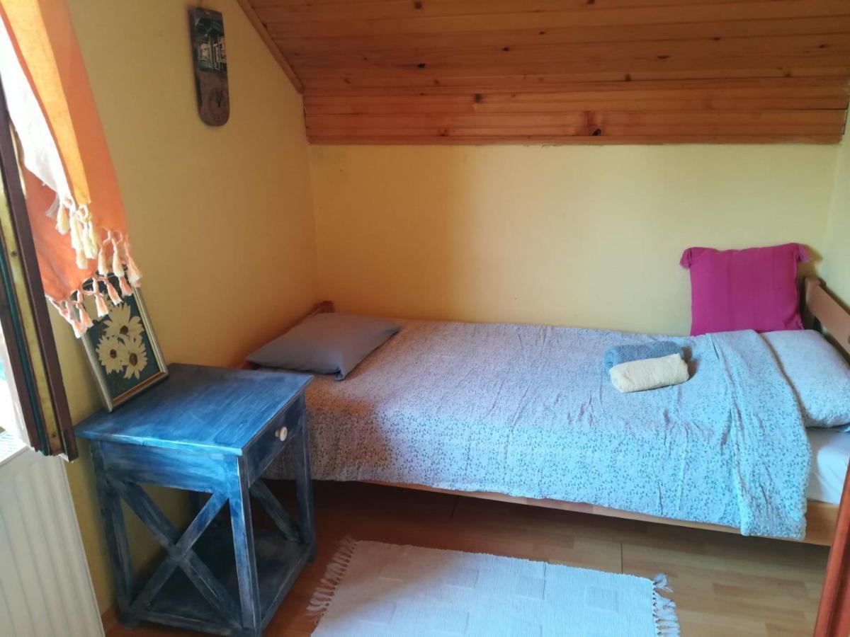 Vikendica Kraj Dunava Oaza Banostor Buitenkant foto